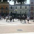In Puglia 20mila cavalli: +24% in 5 anni tra sport, turismo e pet therapy