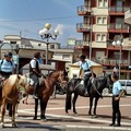Regione: Zinni tra i firmatari della legge sul turismo equestre e sulle attività con gli equidi