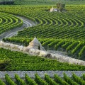 Agricoltura, maggiorate del 50% le concessioni di carburante