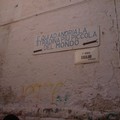 Concorso "Quintaloni ", manca poco alla gara per chi pesa almeno 100 chili