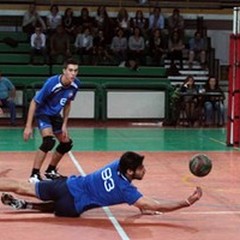 Pallavolo Andria: il Terlizzi è battuto e la vetta resta salda