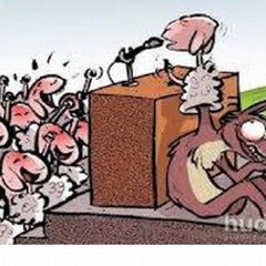 Il lupo perde il pelo ma non il vizio