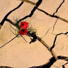 Resilienza