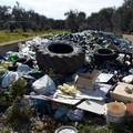 Ambiente:  "Ad Andria un impianto di compostaggio in contrada Torre di Guardia? "