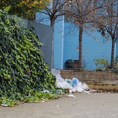 Zona «Scuole»: troppi bustoni abbandonati