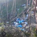 Cumuli di rifiuti nel canale Ciappetta-Camaggio in Contrada Martinelli