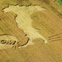 TTIP: una seconda globalizzazione?
