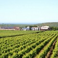 Il "Rivera Stravecchio " premiato al Vinitaly 2016