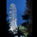 Movimento Pugliese: «Ruota panoramica, nessun rispetto per quel poco di verde in città»