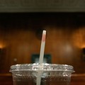 La spiagge pugliesi continuano a essere plastic free. Il Consiglio di Stato boccia decisione Tar