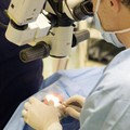 Uso improprio dei medici, il CIMO-FESMED diffida l'Asl Bt e Regione Puglia