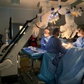 Nuova donazione multiorgano al "Bonomo " di Andria
