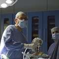 Liste d'attesa nelle Asl, Amati (Pd): “Le ultime notizie fanno emergere una situazione peggiore di quella ipotizzata”