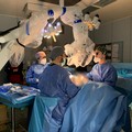 Nuova donazione multiorgano ad Andria: donati cuore, fegato, reni e cornee