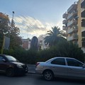 Via Padre Savarese: "Per favore toglieteci quella palma ormai seccata "