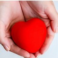 Prelievo multiorgano ad Andria: 49enne dona cuore, fegato, reni e cornee. Così la vita continua