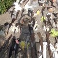 Arsenale scoperto in villa ad Andria, il proprietario: «Locale in uso a De Benedictis»