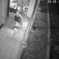 Disturbo della quiete pubbica tra i residenti di Via Cotugno, indivuato 35enne straniero