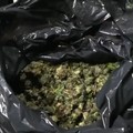 Questura Bat: droga nel bunker, 5 arresti per produzione di sostanze stupefacenti