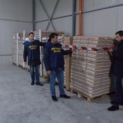 Maxi sequestro nella Provincia BAT: 52mila uova in due aziende