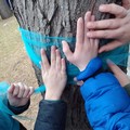 Attività estive per minori con disturbi dello spettro autistico. Parte il terzo ciclo