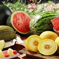 Puglia: preoccupa l'andamento dei prezzi di frutta e verdura