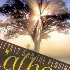 Può un albero condizionare un uomo e farlo riflettere?