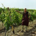 Vini Top Hundred 2023: ennesimo, importante riconoscimento per l'Azienda Conte Spagnoletti Zeuli