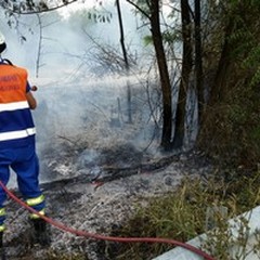 Incendio sulla SP 231: in fumo sterpaglie e rifiuti