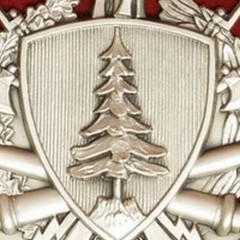 Una giornata ecologica a cura di 100 militari della Brigata Pinerolo