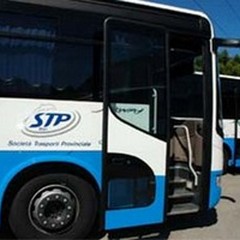Battiti live a Bisceglie, bus gratis da Trani e Barletta