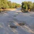 Oltre 17 mln di € a disposizione dei Comuni per l’ammodernamento delle strade comunali extraurbane secondarie