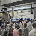 Un ponte tra Bisceglie e la Francia: Mastrototaro Food accoglie studenti in Erasmus