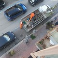 Nuovi alberi in viale Don Luigi Sturzo: cittadini plaudono all'iniziativa
