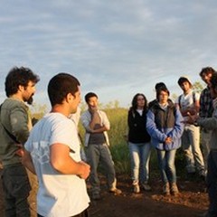 Parco Alta Murgia, III Summer School dedicata al "lupo "
