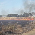 Tre incendi in un giorno, fiamme vicino all'Umami