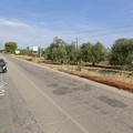 Tangenziale Ovest di Andria:  "una consapevolezza tardiva dopo anni di cocciutaggine amministrativa "