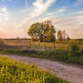 Filiere di Puglia: pubblicata la graduatoria per i progetti di trasformazione dei prodotti agricoli