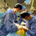 Maratona trapianti in Puglia, 9 interventi in 48 ore. Uno ha riguardato il "Bonomo " di Andria