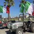 Se la xylella viaggia veloce, solo i libretti del gasolio del Comune di Andria vanno lenti, lentissimi