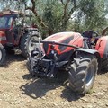 Troia (Ass. Agricoltura): "Libretti UMA, convenzione con periti agrari per smaltire pratiche giacenti "
