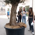 4 giugno, giornata dell'arte e della creatività studentesca