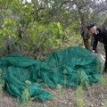 Ladri maldestri, rubano nel fondo di un carabiniere
