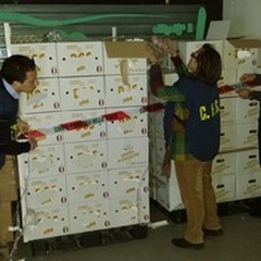 Uova di origine rumena indicate come di "Roma ": due denunce