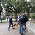 Blitz della Polizia di Stato nella villa comunale: denunce e sequestro di droga