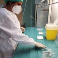 Bollettino covid, nella provincia Bat 46 casi positivi e un decesso