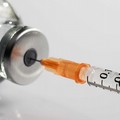 Stop vaccini Astrazeneca, Codacons: «Azione in Puglia per chi ha subito danni»