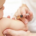 Vaccini, Mazzarano (Pd):  "Una legge per genitori disinformati "