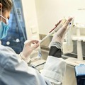 Netta discesa del numero degli attualmente positivi in Puglia