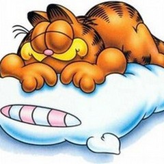 Chi dorme non piglia peso